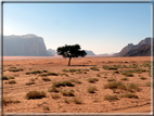 foto Wadi Rum